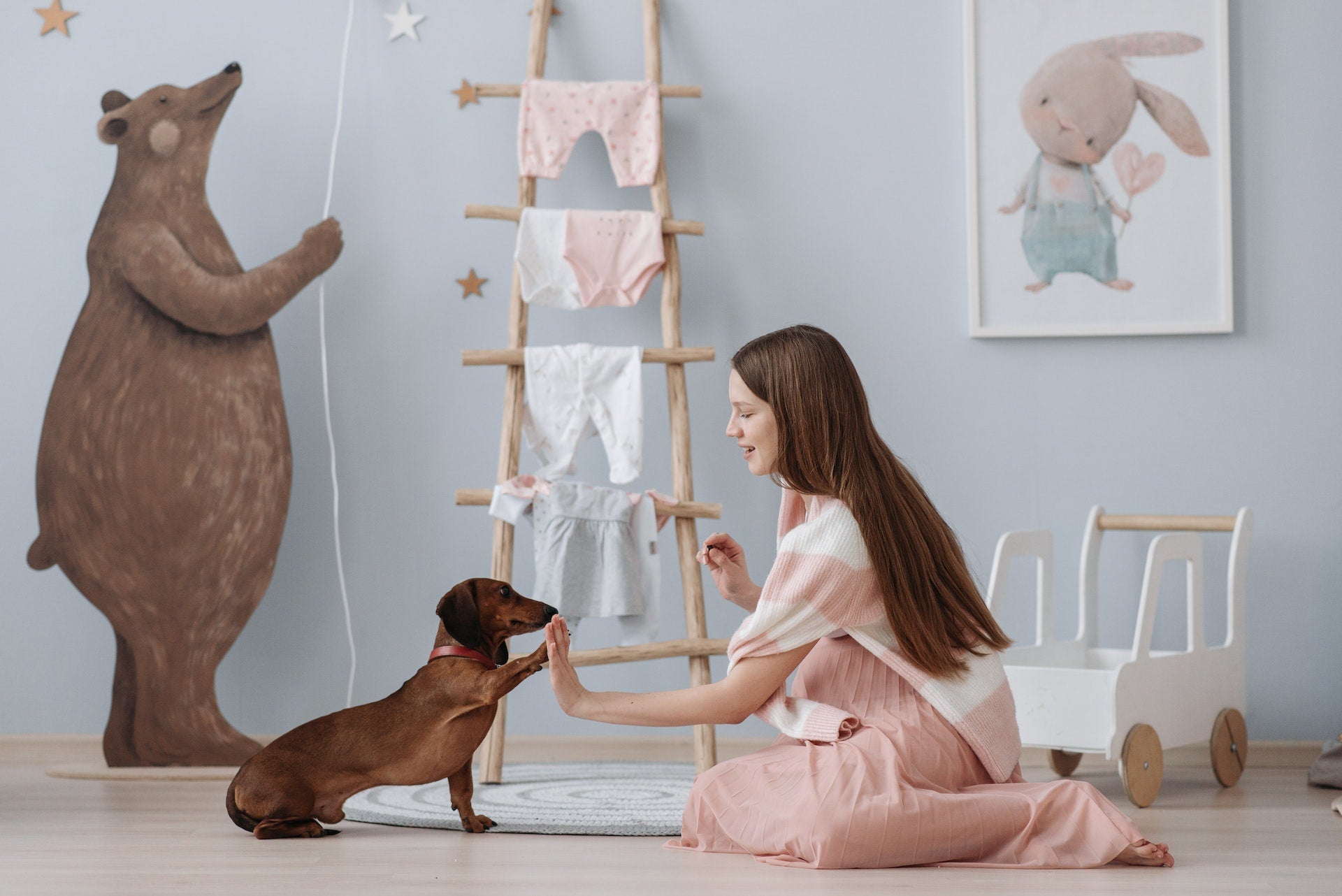 chien de race tickel avec sa maîtresse dans une chambre